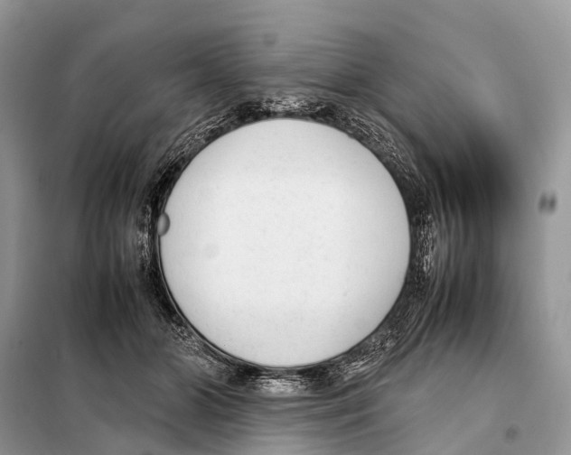 X0000098120510200805021159