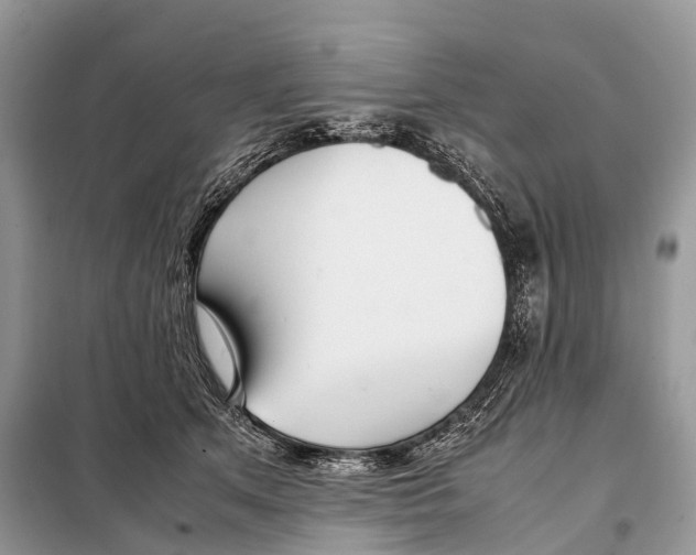 X0000098120513200805021159