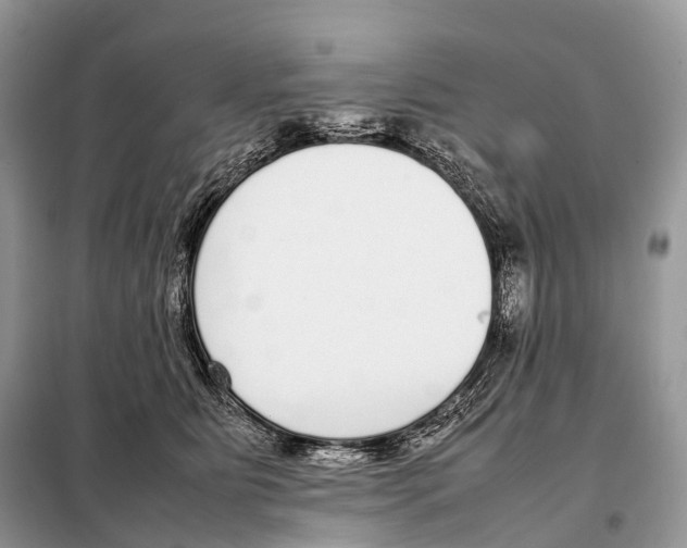 X0000098120515200805021159