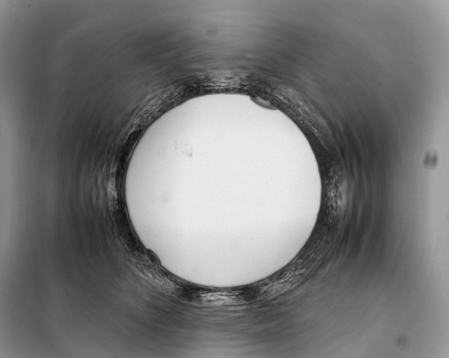 X0000098120516200805021159