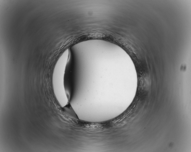X0000098120517200805021159
