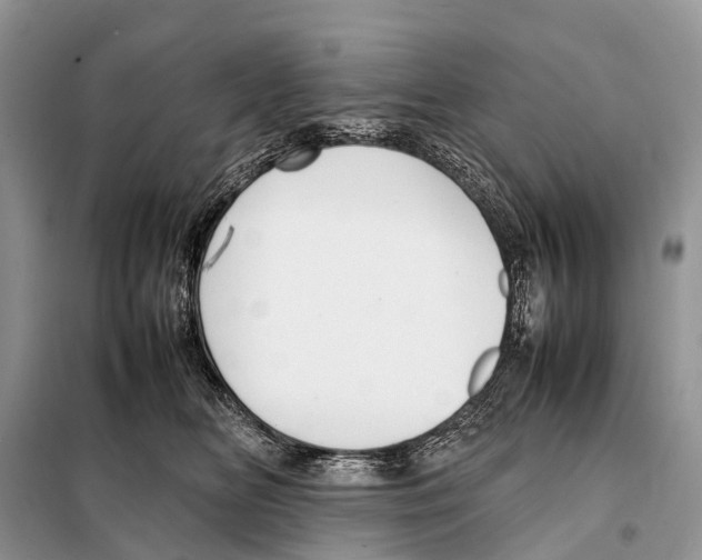 X0000098120518200805021159