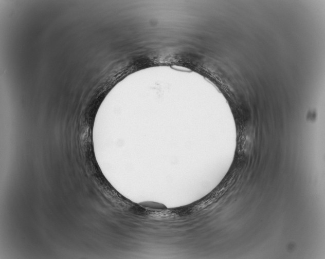 X0000098120521200805021159