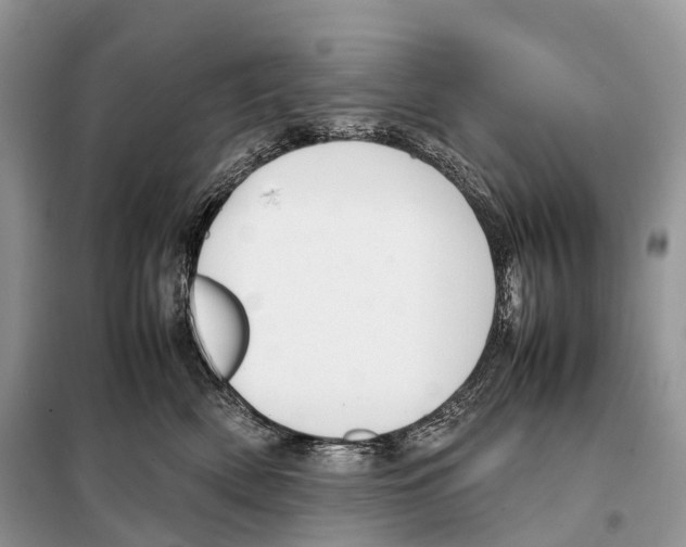 X0000098120522200805021159