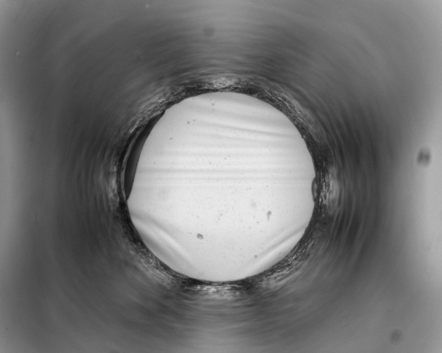 X0000098120524200805021159