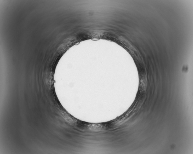 X0000098120525200805021159