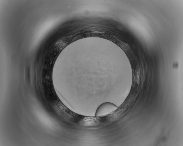 X0000098120526200805021159