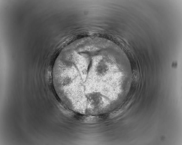 X0000098120527200805021159