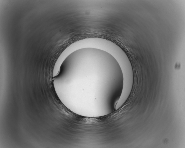 X0000098120528200805021159