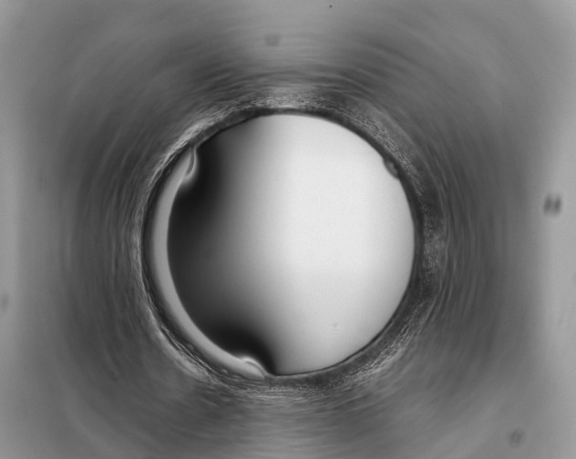 X0000098120530200805021158
