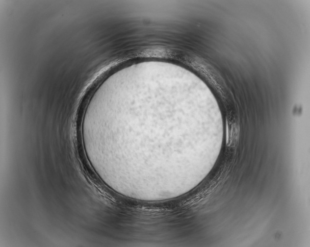 X0000098120531200805021158