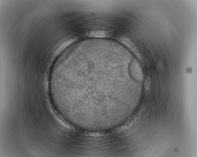 X0000098120533200805021158
