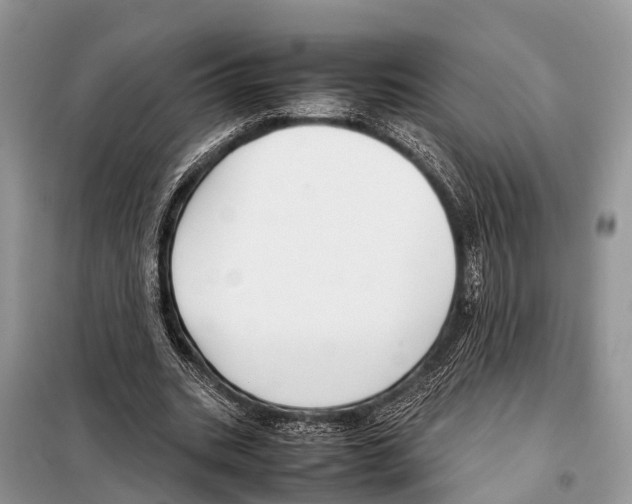 X0000098120535200805021158