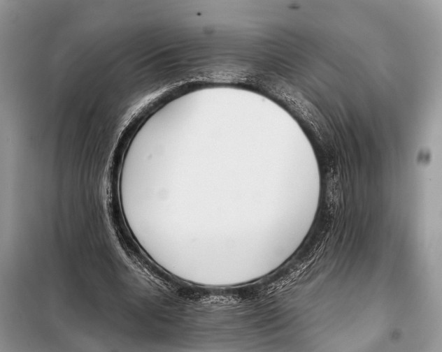 X0000098120536200805021158
