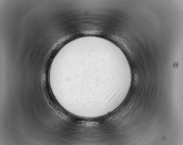 X0000098120539200805021158