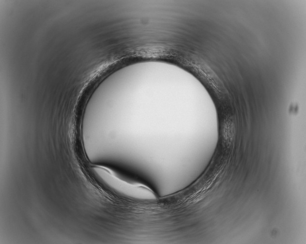 X0000098120540200805021158