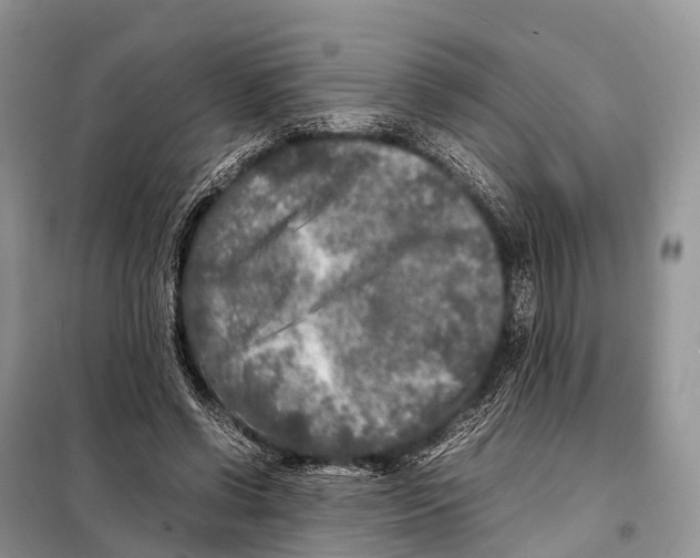 X0000098120542200805021158