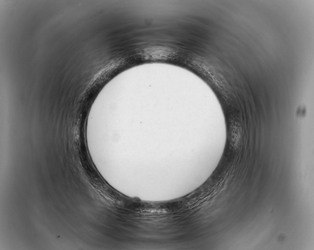 X0000098120543200805021158