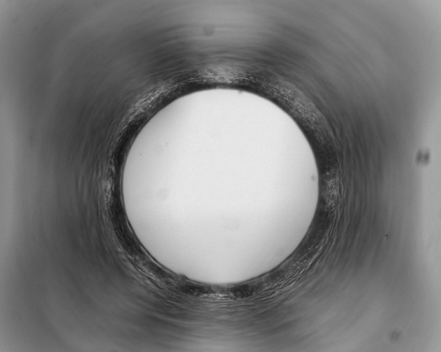 X0000098120544200805021159