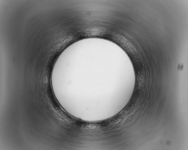 X0000098120546200805021159