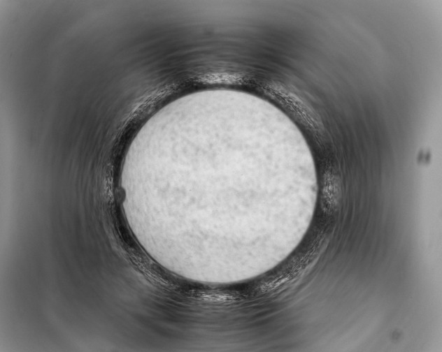 X0000098120547200805021159