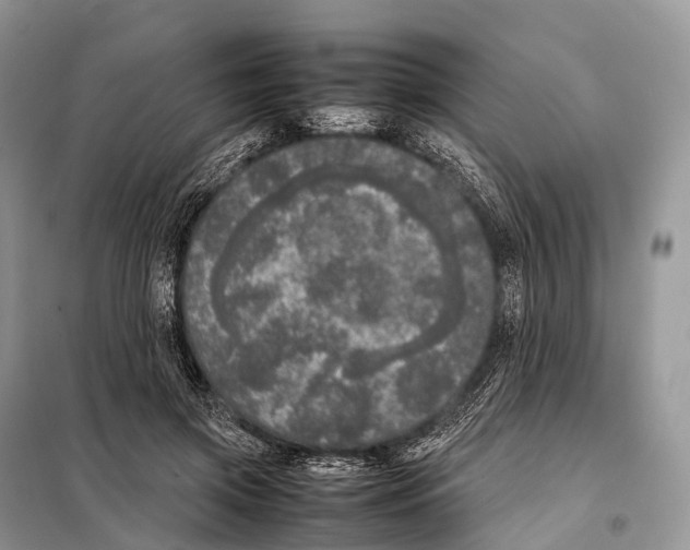 X0000098120549200805021159