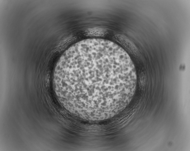 X0000098120551200805021159