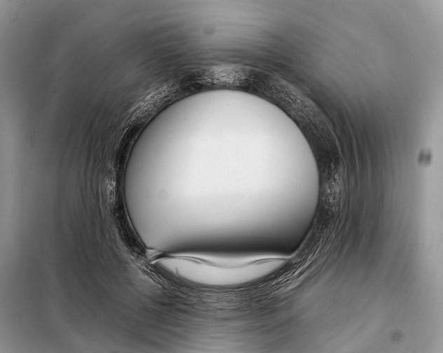 X0000098120552200805021159