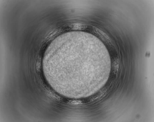 X0000098120554200805021159