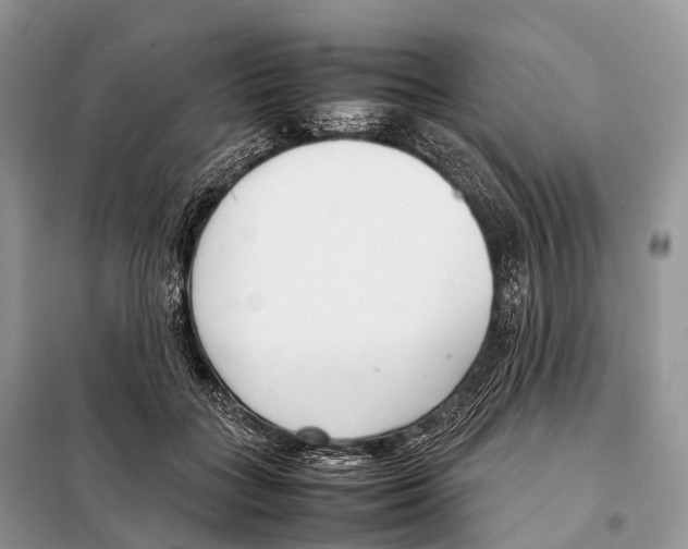 X0000098120555200805021159