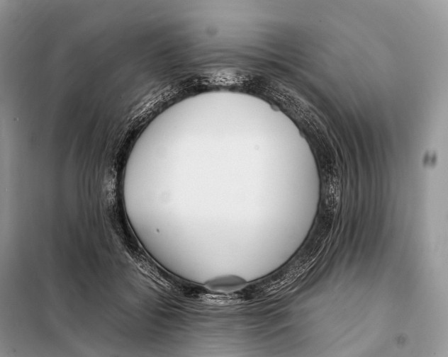 X0000098120556200805021159