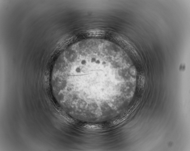 X0000098120557200805021159