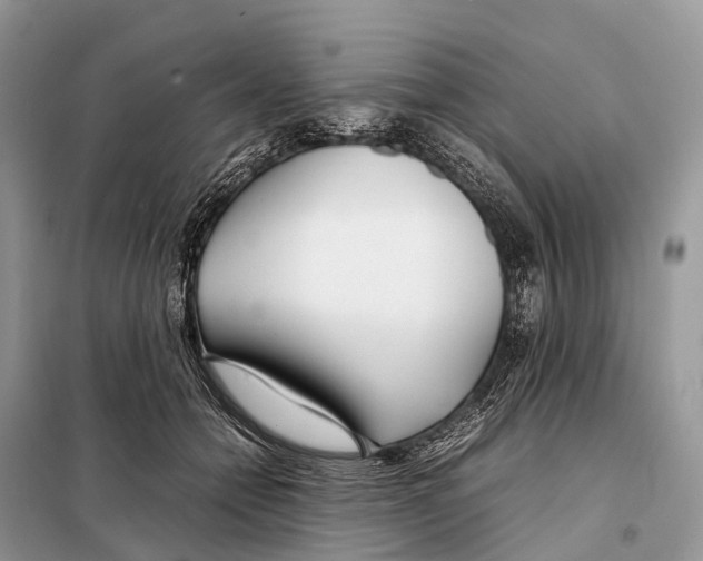 X0000098120558200805021159