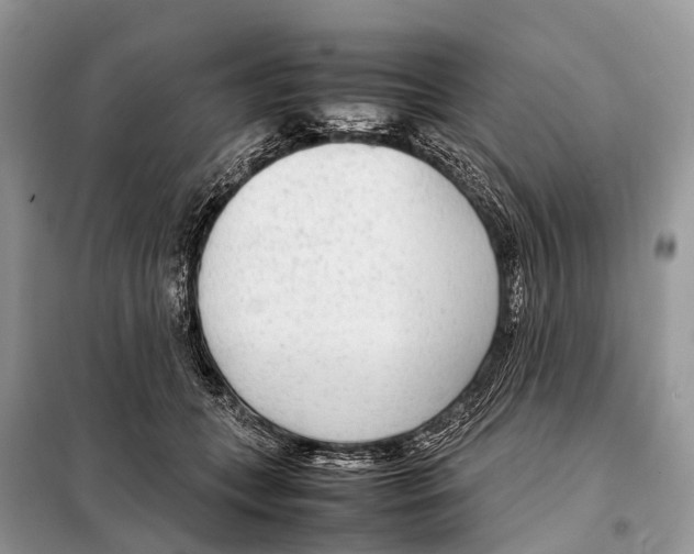 X0000098120559200805021159