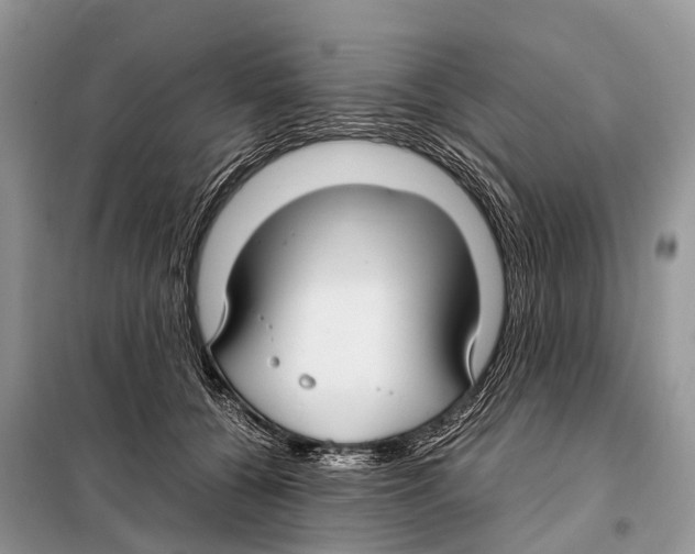 X0000098120560200805021159