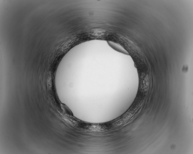 X0000098120562200805021159