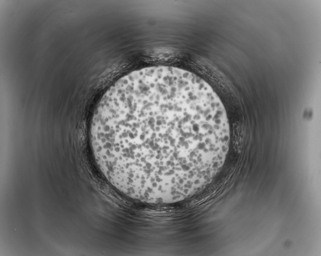 X0000098120563200805021159