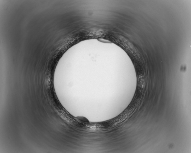 X0000098120564200805021159