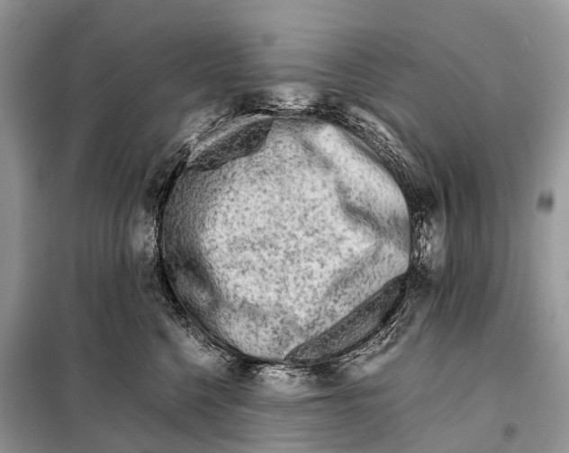 X0000098120568200805021159