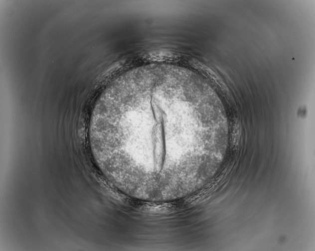 X0000098120569200805021159