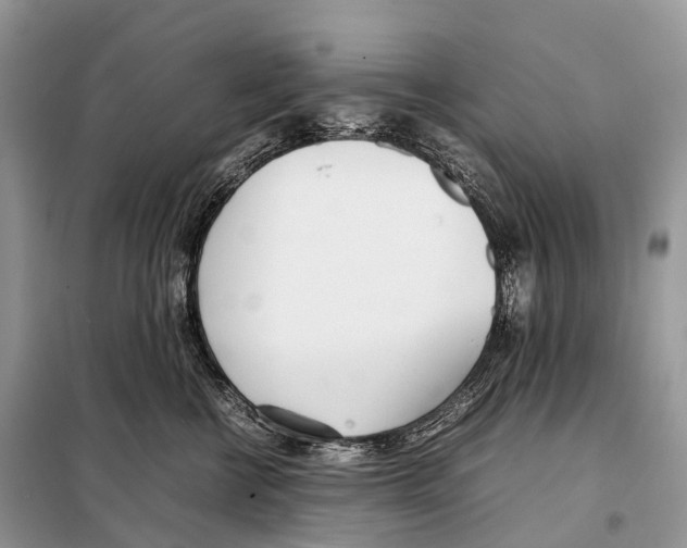 X0000098120570200805021159