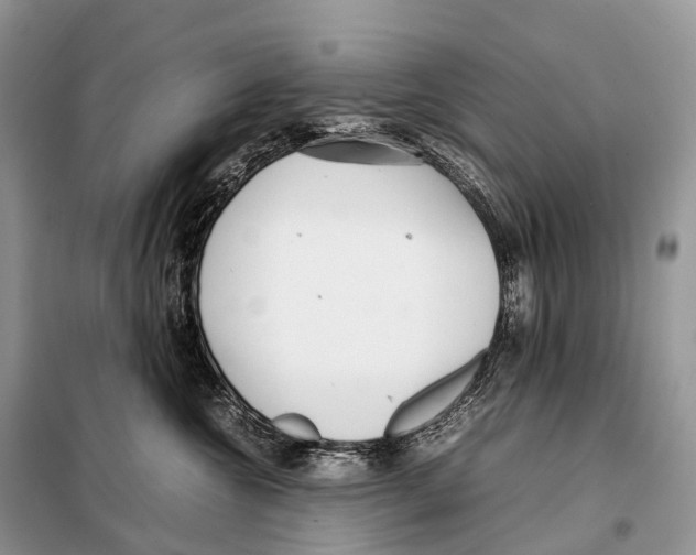 X0000098120572200805021159