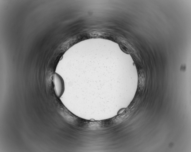 X0000098120574200805021159