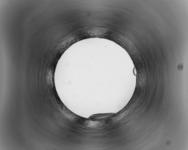 X0000098120575200805021159