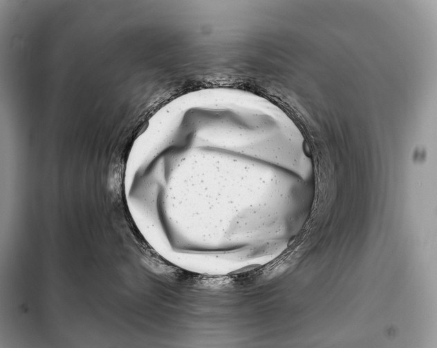 X0000098120576200805021159