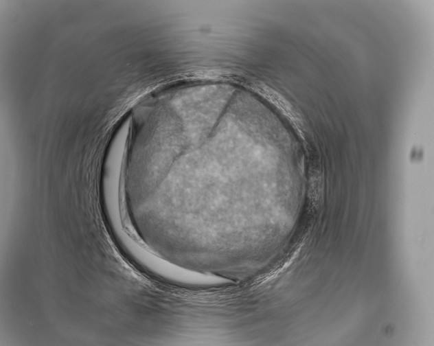 X0000098120577200805021158