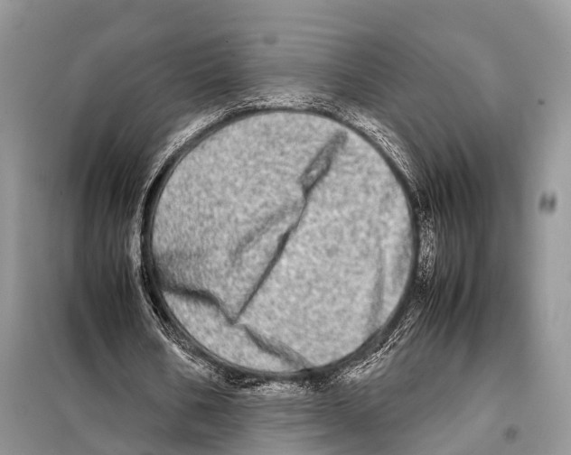 X0000098120578200805021158