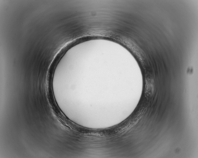 X0000098120580200805021158