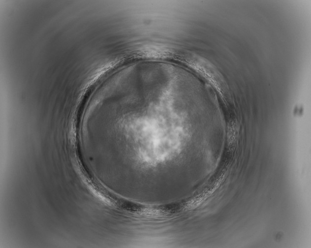 X0000098120581200805021158