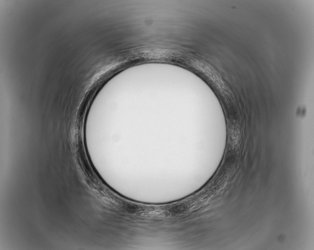 X0000098120583200805021158